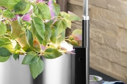 WMF Ambient Pflanzenlicht