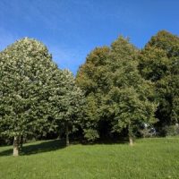 Aktualisierungen verschiedener DGUV Informationen