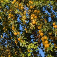 Neue DGUV Informationen Telemedizin und Exoskelette